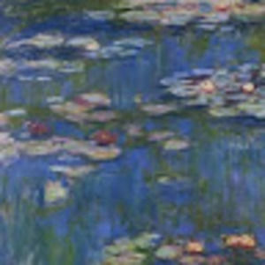 Meet your Posher, Alison davies